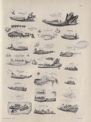 Item #24044 Monograph of the Fossil Mammalia of the Mesozoic Formations. Professor Owen, Richard