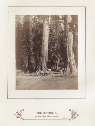 The Wonders of the Yosemite Valley and of California