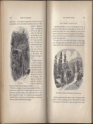 Scenes of Wonder and Curiosity in California