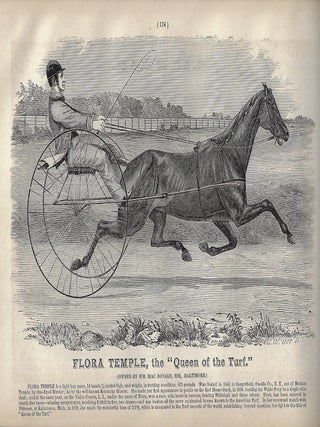 G. & D. Cook & Co.'s Illustrated Catalogue of Carriages and Special Business Advertiser