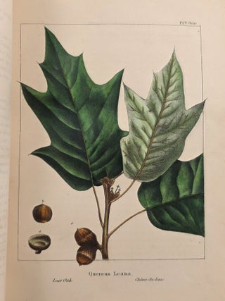 The North American Sylva, Or, A Description of the Forest Trees of the United States, Canada, and Nova Scotia Not Describe din the Work of F. Andrew Michaux....Three Volumes in Two. Vol. I.