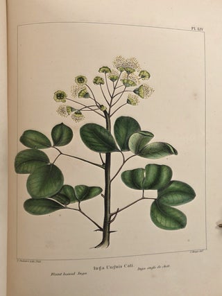 The North American Sylva, Or, A Description of the Forest Trees of the United States, Canada, and Nova Scotia Not Describe din the Work of F. Andrew Michaux....Three Volumes in Two. Vol. I.