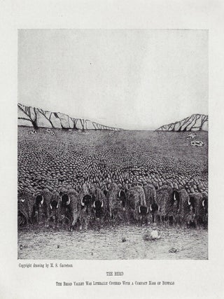 A Short History of the American Bison. Distribution, Habits, Trails, Extermination, etc., For Use in Schools