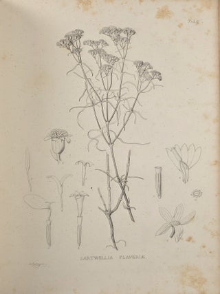 Plantae Wrightianae Texano-Neo-Mexicanae [Part I & Part II, Complete]