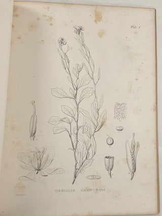 Plantae Wrightianae Texano-Neo-Mexicanae [Part I & Part II, Complete]