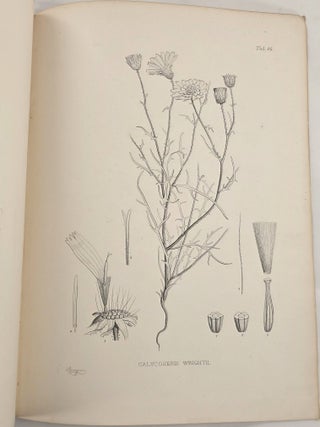 Plantae Wrightianae Texano-Neo-Mexicanae [Part I & Part II, Complete]