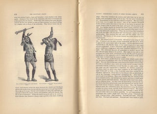 The Mountain Chant: A Navajo Ceremony