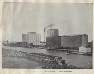 Illustrated Duluth, 1896